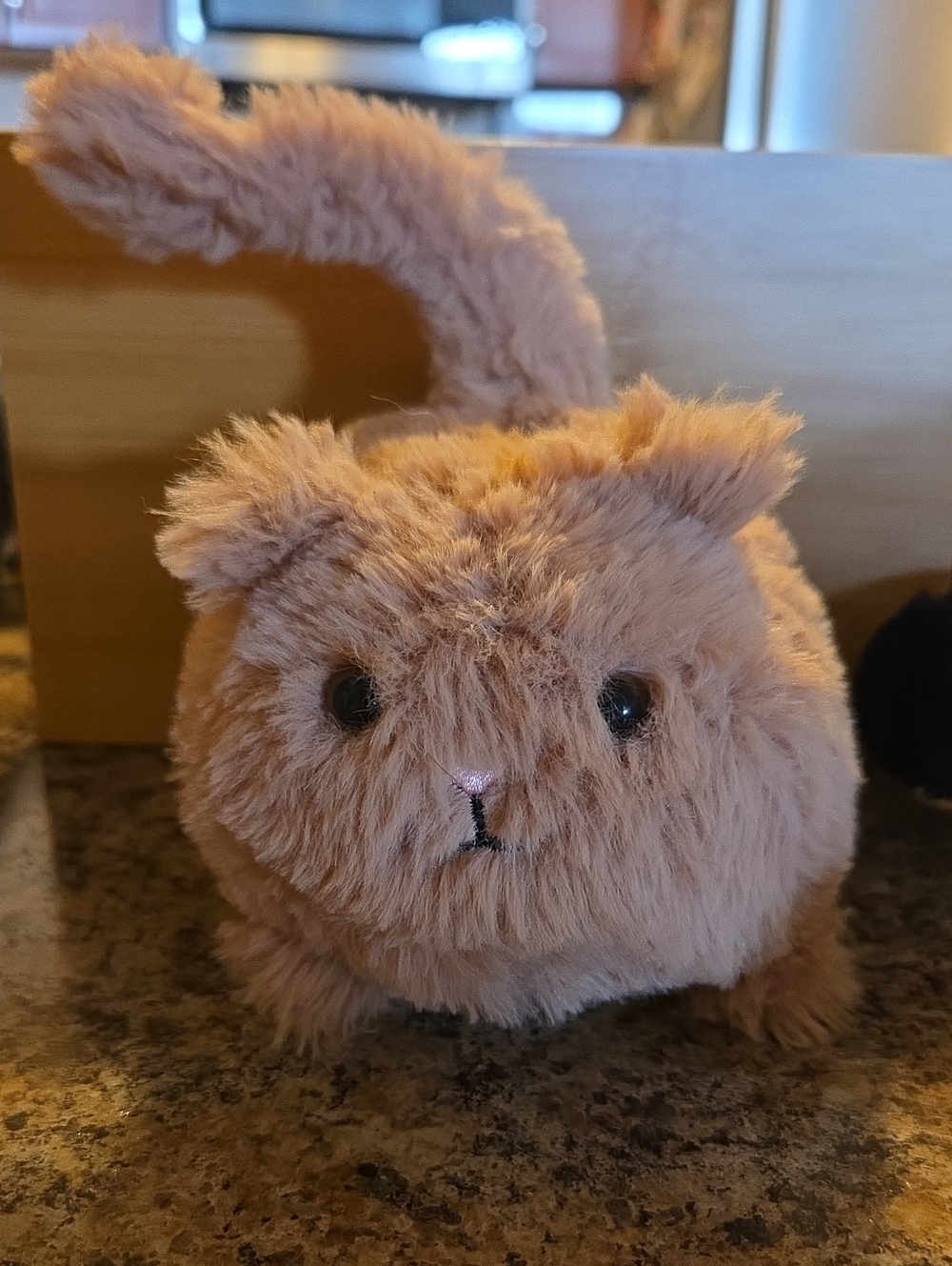 Caboodle Kitten. Jellycat